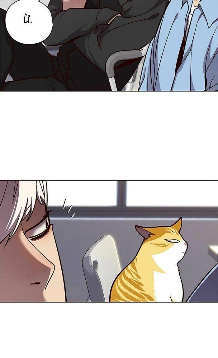 biến thân thành mèo chapter 62 56