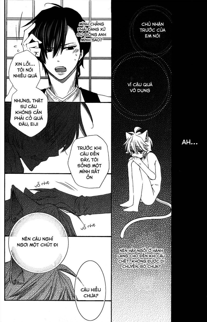 aigan kitty chapter 1 30