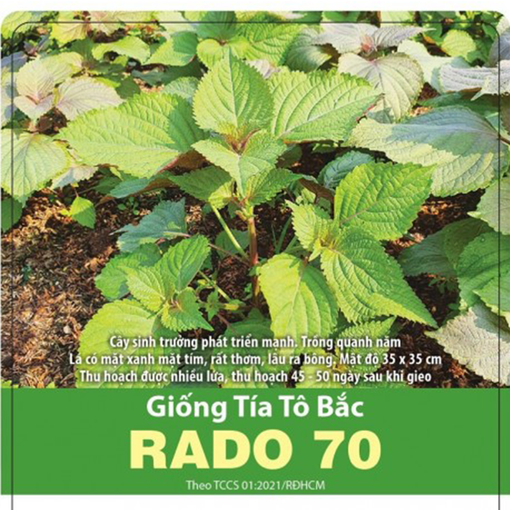 Hạt giống tía tô bắc RD 70 Rạng Đông