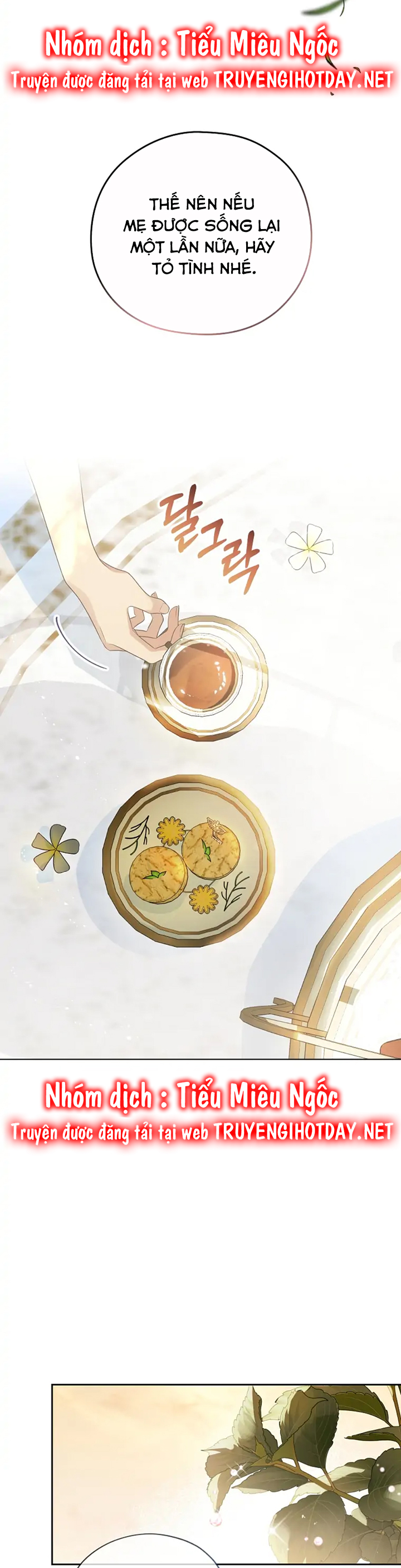 aster yêu dấu của tôi chapter 1 11