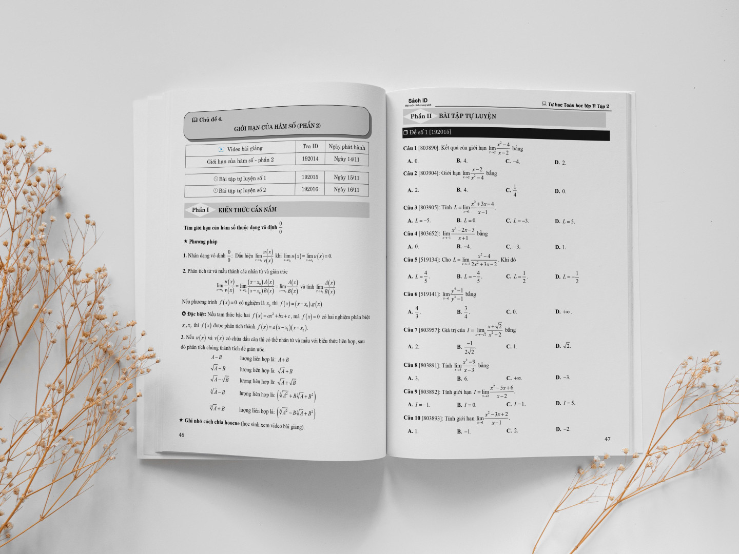 Sách ID Tự Học Toán Học Lớp 11 Tập 2 Moonbook, Sách Bài Tập Toán 11 Có Đáp Án