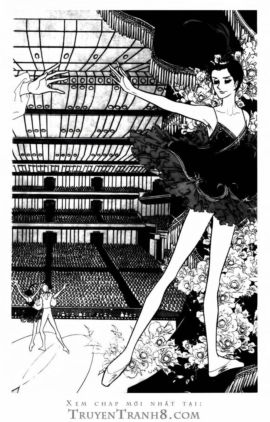 swan - vũ khúc thiên nga chapter 82 4