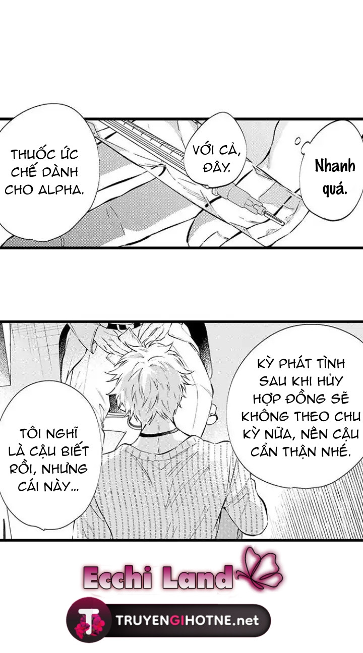 Hãy Ly Hôn Đi, Ngài Alpha chapter 11.2 - Trang 12