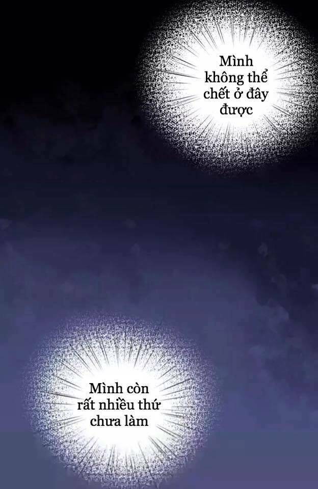 dưới móng vuốt mèo chapter 15 15