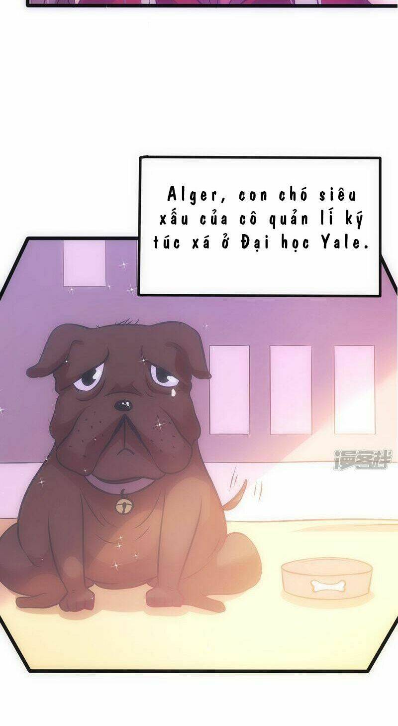 truy phu 36 kế - ông xã à, tới chiến nào! chapter 36 24