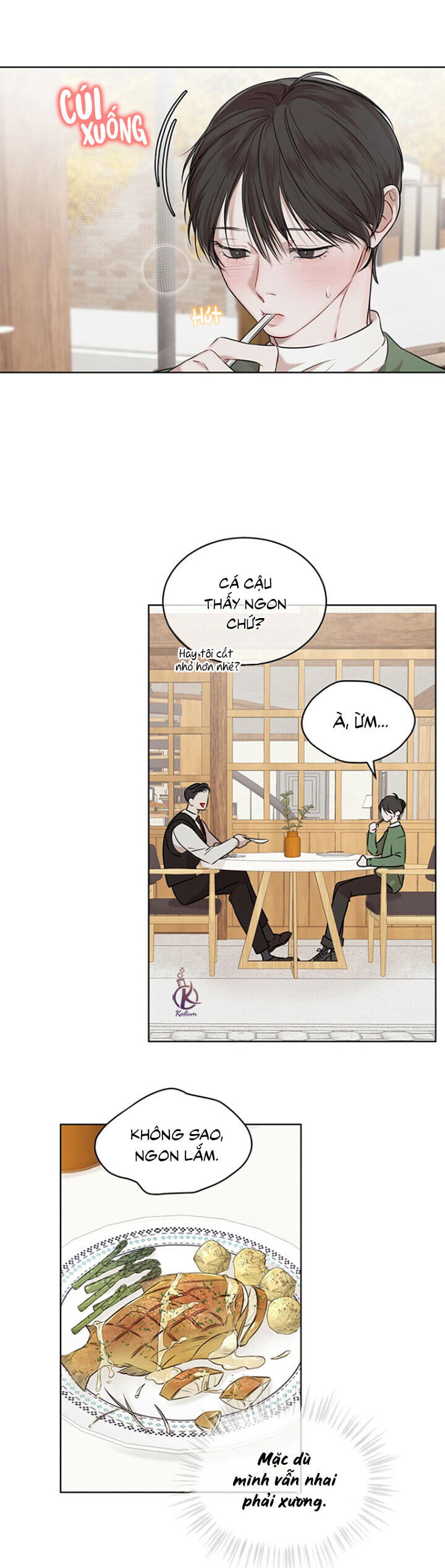 hình thái khởi sinh chapter 25 15