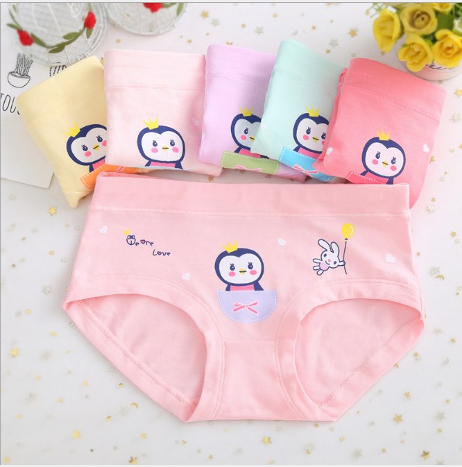 5 chiếc quần lót cotton cao cấp cho bé gái chất liệu co giãn 4 chiều cho bé thoải mái hoạt động, màu ngẫu nhiên rất dễ thương, đủ size cho mọi lứa tuổi.