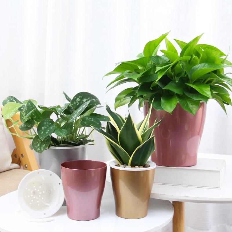 Chậu cây để bàn Oliz W0 - Chậu trồng cây tự tưới nước cho cây. Dùng trang trí nhà cửa, bàn làm việc