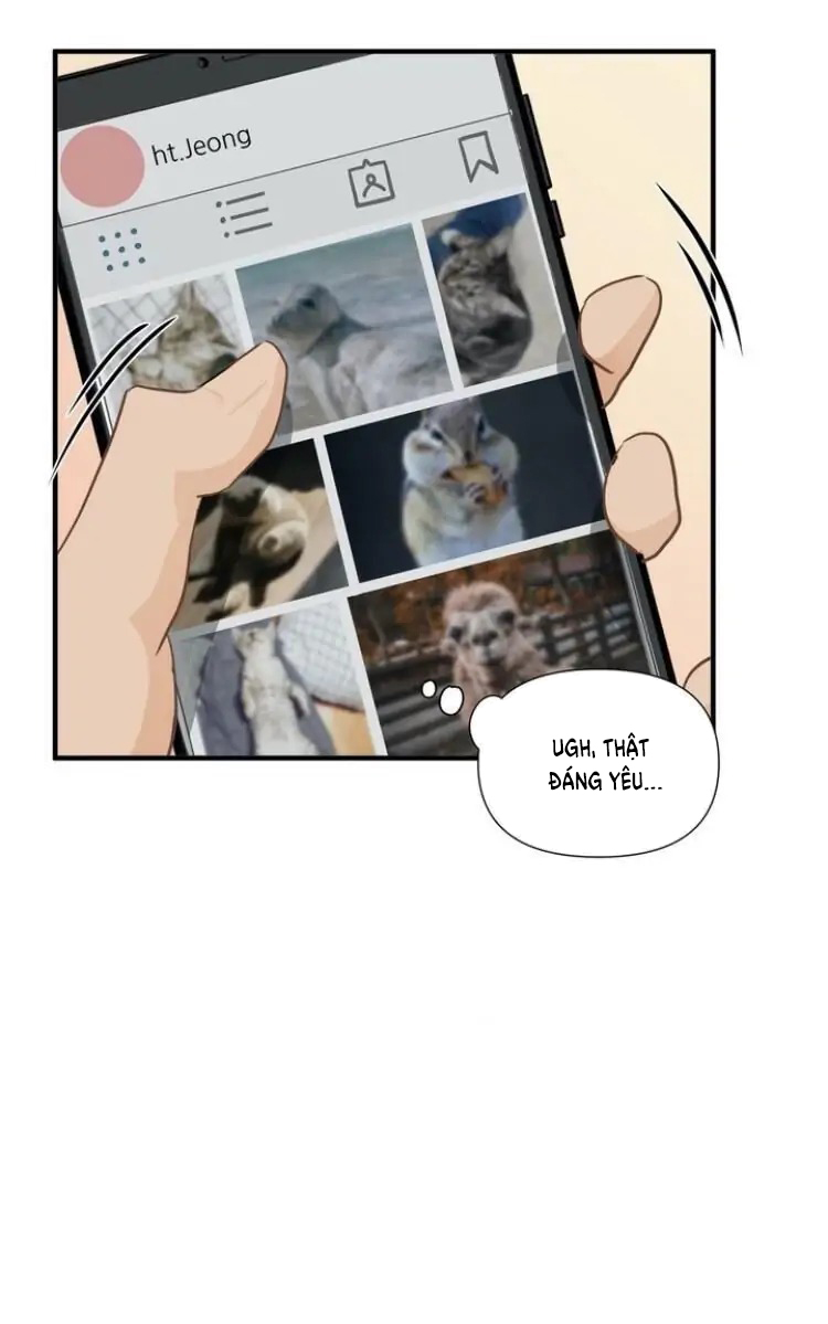 từ đầu xuống chân chapter 8 20