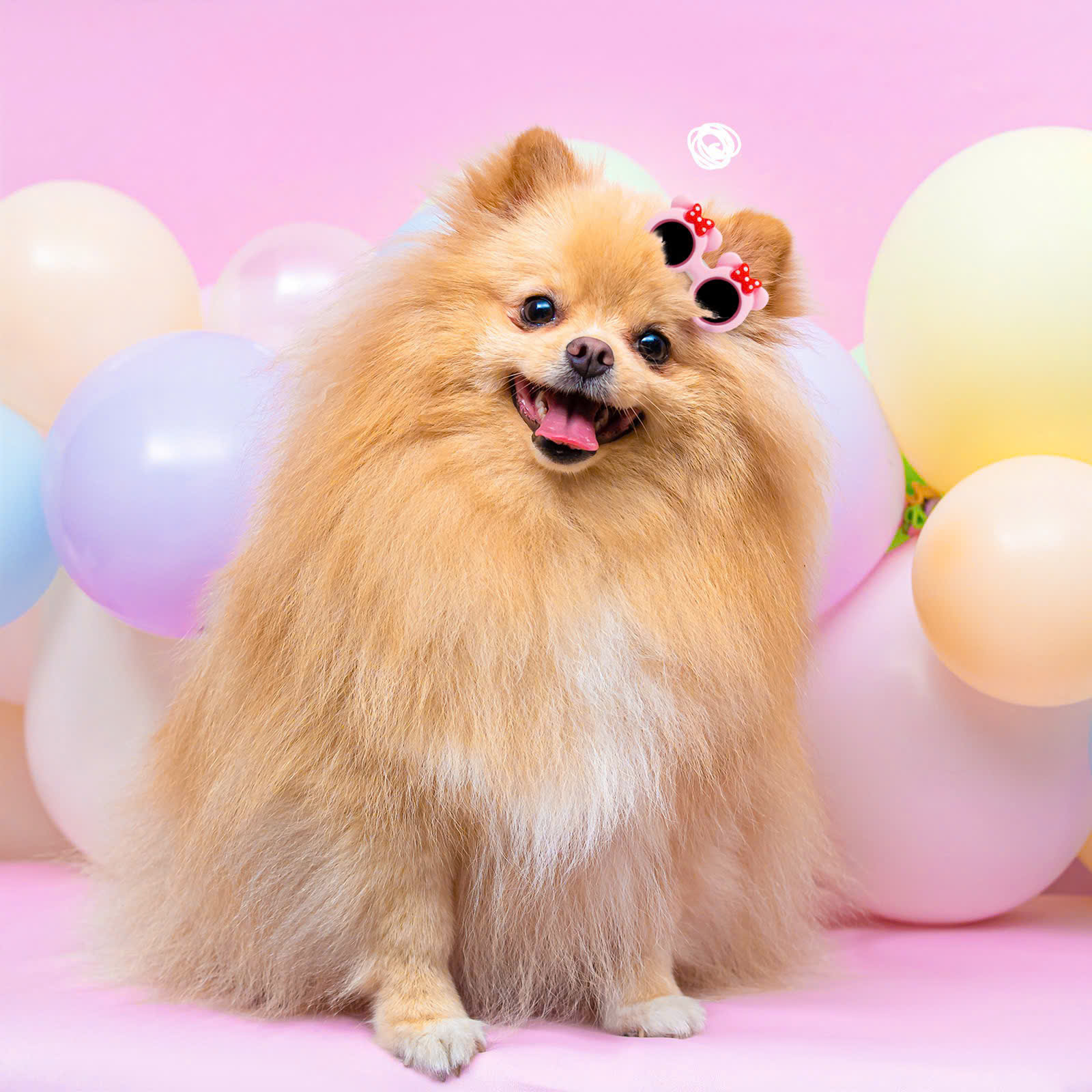 NƠ KẸP TÓC CÀI TÓC THỜI TRANG DỄ THƯƠNG KÍNH RÂM ĐỘNG VẬT CÀI ĐẦU MÃ 30 CHO THÚ CƯNG CHÓ MÈO