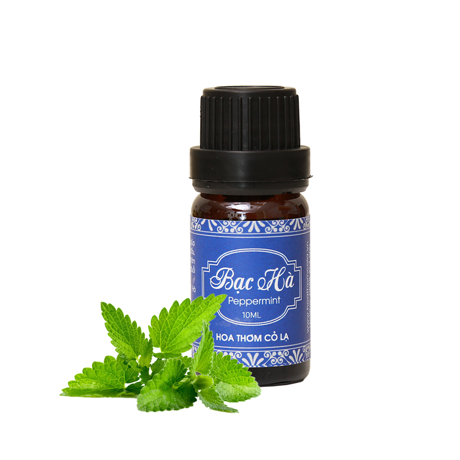 Tinh Dầu Bạc Hà - Peppermint Essential Oil - Hoa Thơm Cỏ Lạ