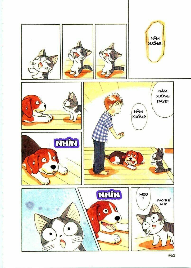 chi's sweet home chapter 64 7