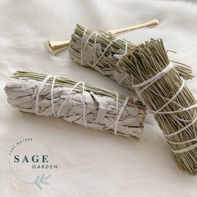XÔ THƠM TRẮNG & LÁ THÔNG_Size chuẩn 12cm_SAGE GARDEN