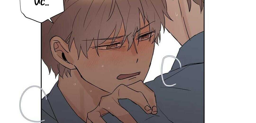 guide cấp b chapter 41 118