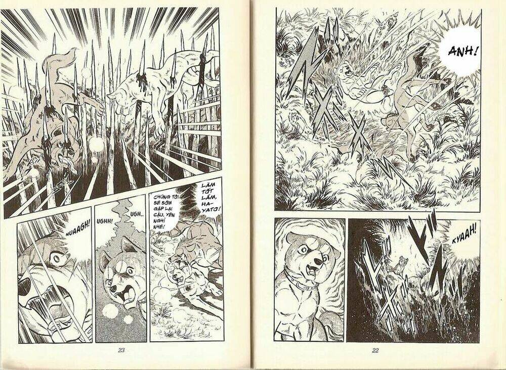 chú chó có nghĩa - ginga nagareboshi gin chapter 19 10