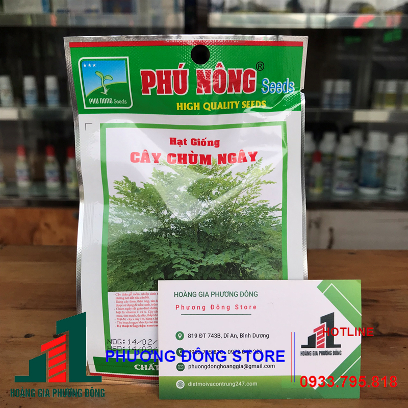 Combo 5-10 gói hạt giống rau chùm ngây chịu hạn tốt, sinh trưởng mạnh