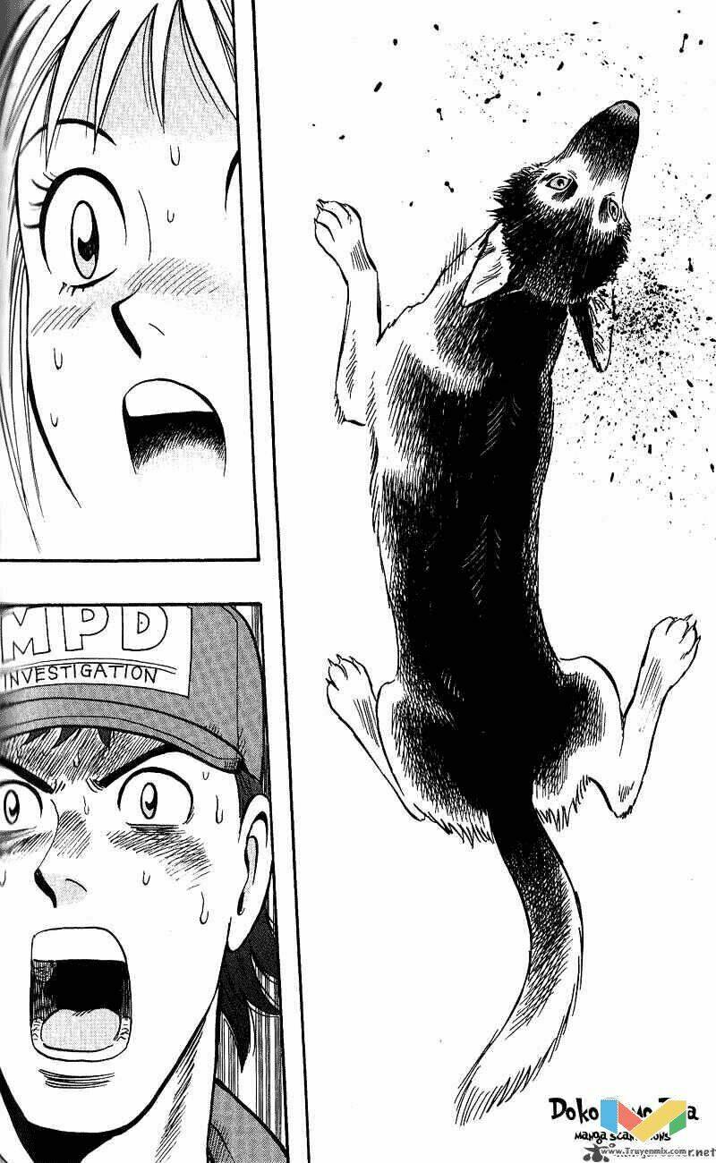 animal sense chapter 13 20