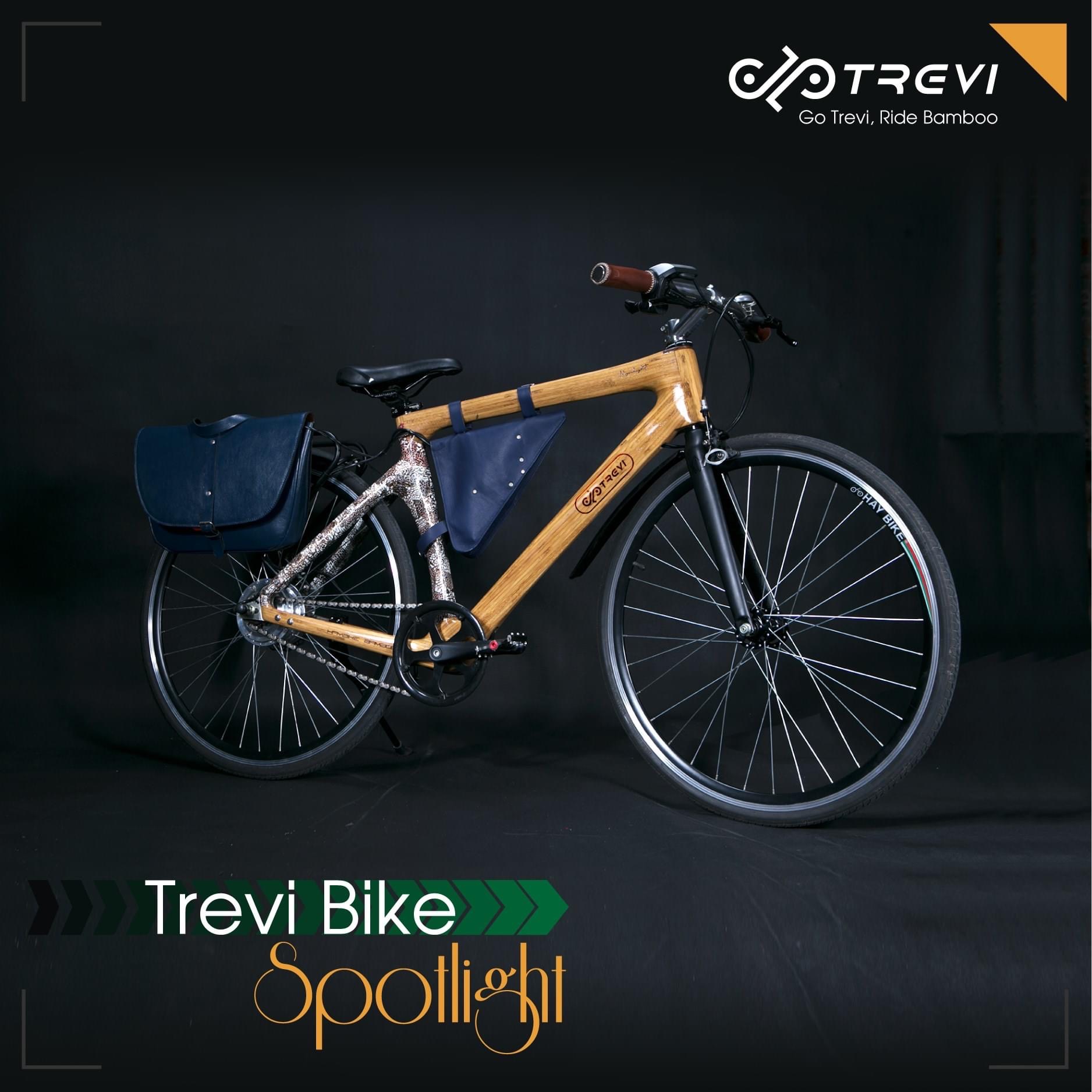 Xe đạp Tre trợ lực điện Trevi Moonlight - Trevi Bike