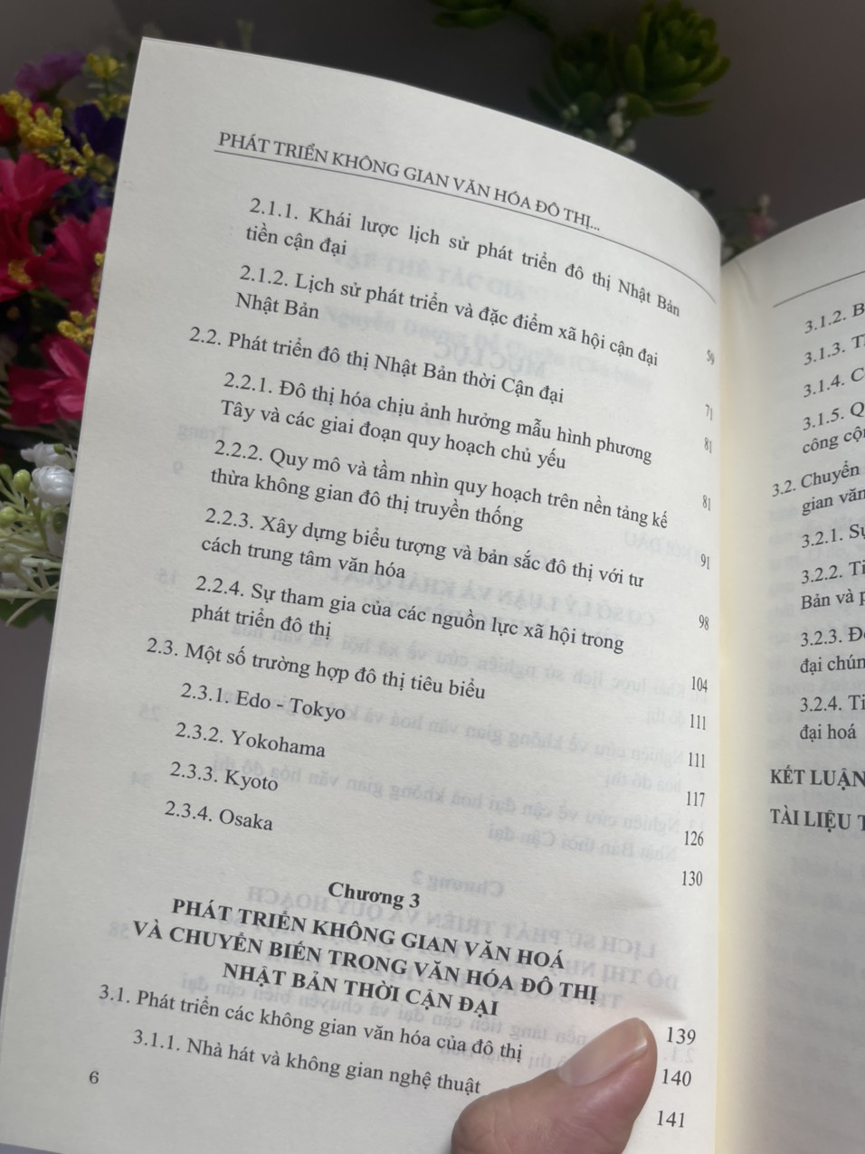 PHÁT TRIỂN KHÔNG GIAN VĂN HÓA ĐÔ THỊ Ở NHẬT BẢN THỜI CẬN ĐẠI – Nguyễn Dương Đỗ Quyên -NXB Khoa học Xã Hội