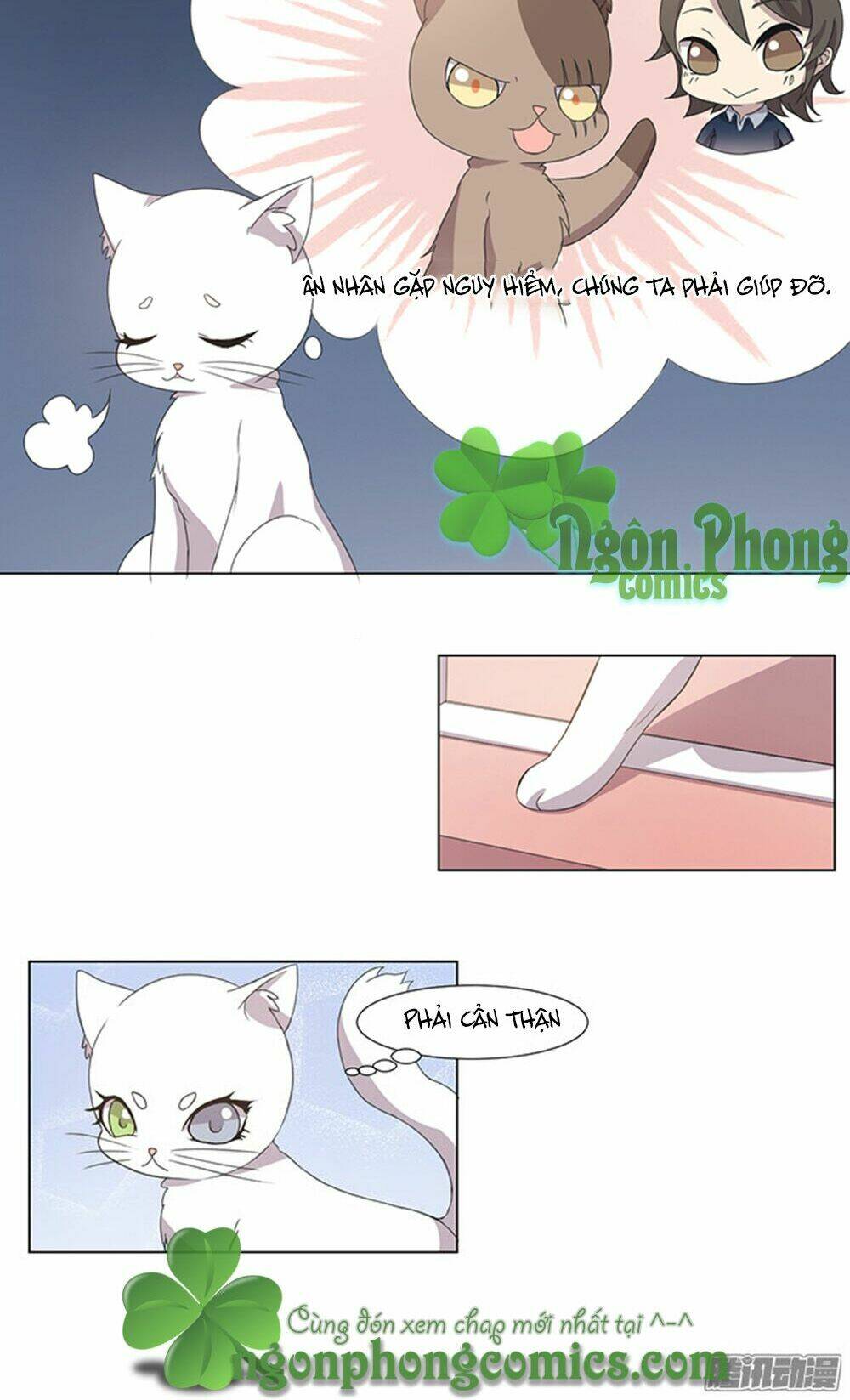 hai chú mèo totem chapter 32 20