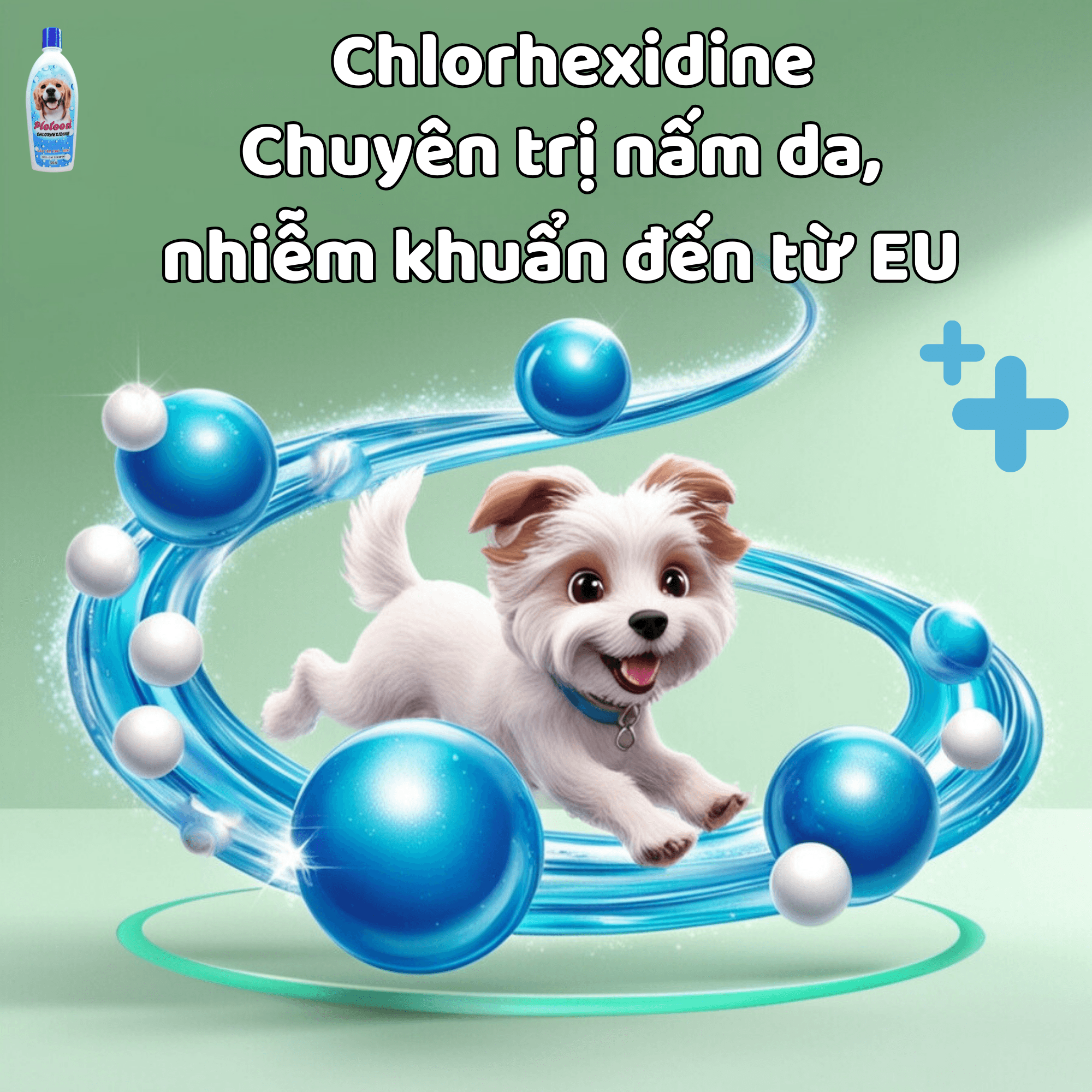 Dầu Tắm Plotoon Chlorhexidine 300ml