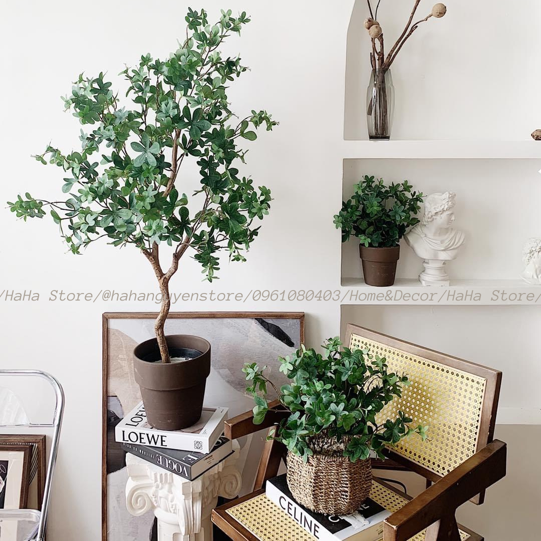 Giỏ cói trồng cây Chum cói cắm hoa decor cây cảnh Đường Kính 20cm GCD03-20CM