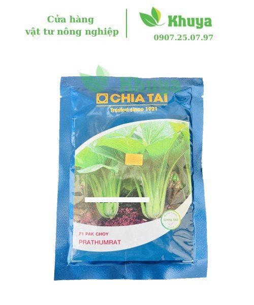 Hạt giống Cải Ngọt Chia Tai 50gr Nảy mầm cao
