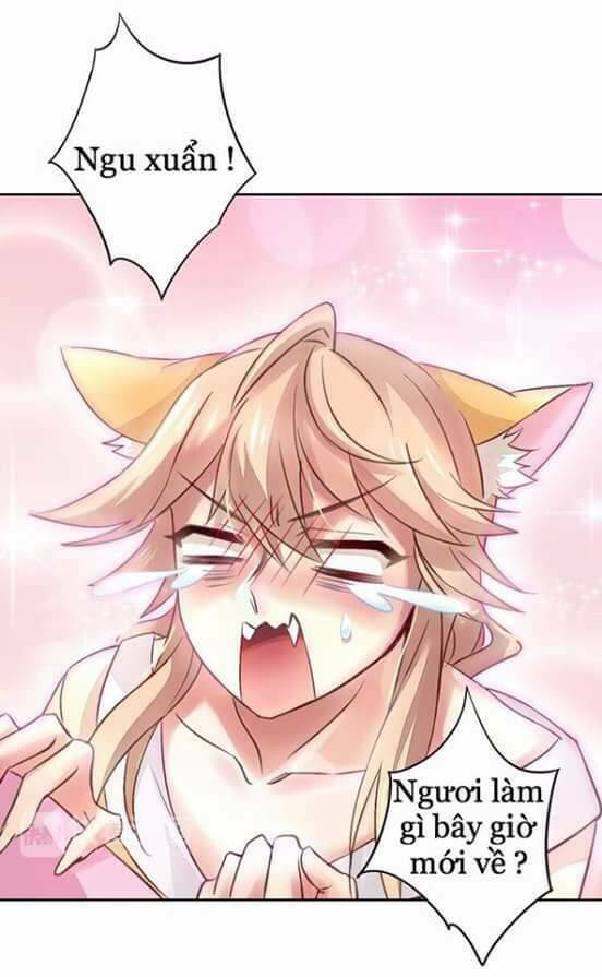 dưới móng vuốt mèo chapter 5 40