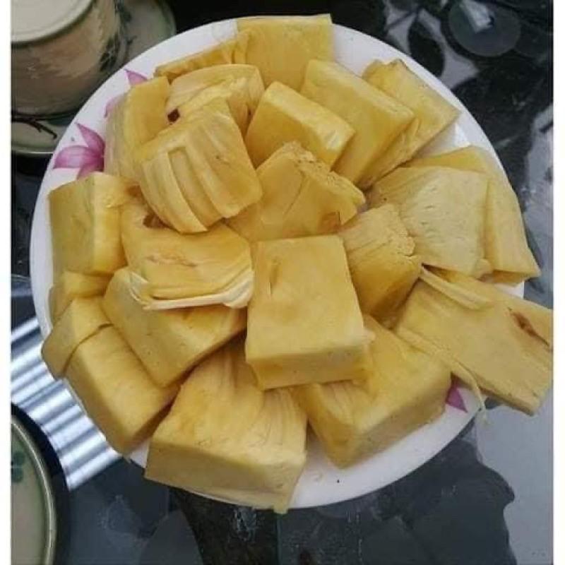 CÂY MÍT KHÔNG HẠT