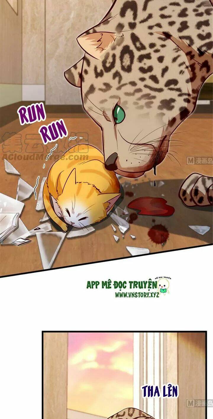 thiên hậu trở về chapter 186 26