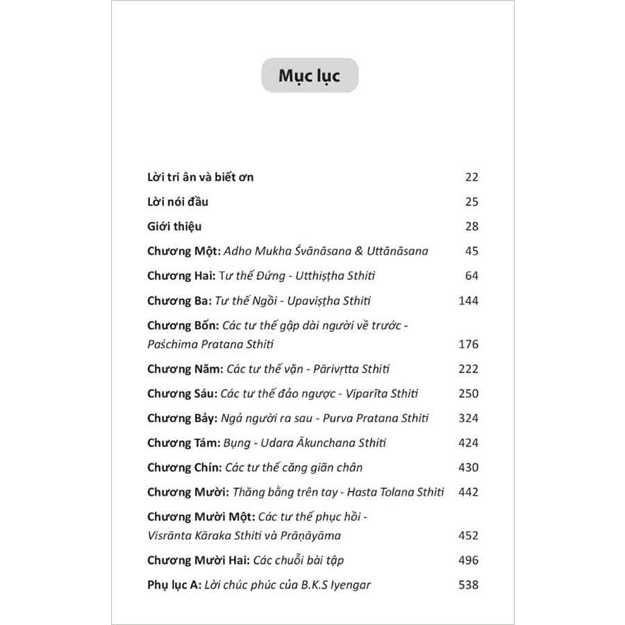 Sách Yoga Với Ghế Bản Đầy Đủ - Hướng Dẫn Thực Hành Toàn Diện Iyengar Yoga Với Ghế