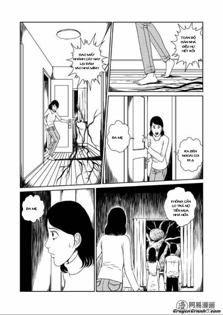 tổ chim chapter 1 19