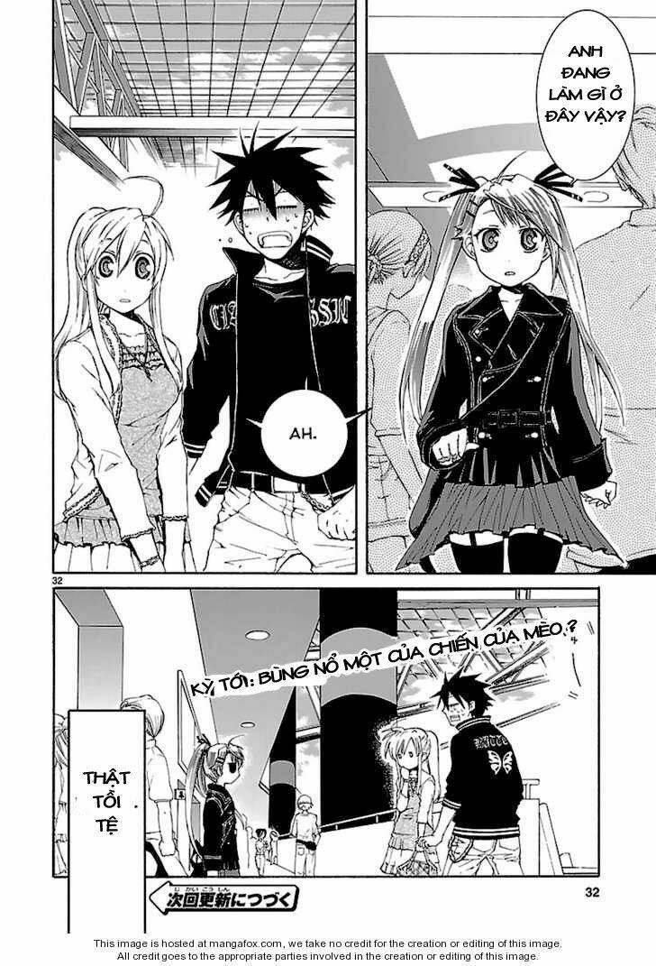 nyankoi! chapter 21 33
