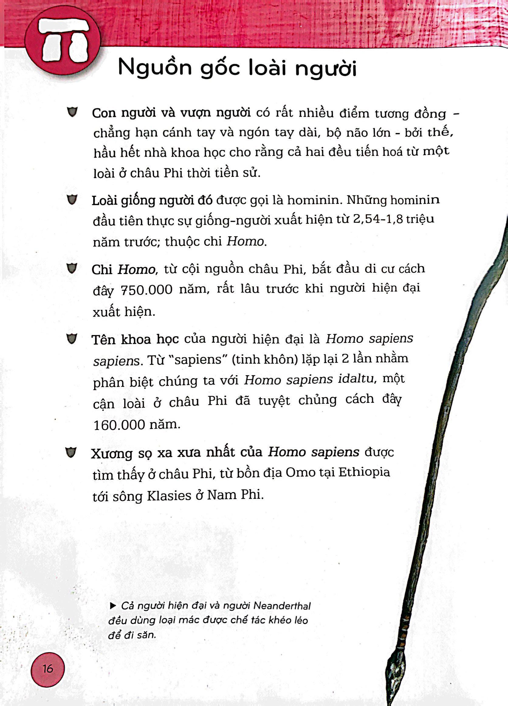 Bách Khoa Thư Lịch Sử - Từ Tiền Sử Đến Thời Đại - Bìa Cứng (Tái Bản)