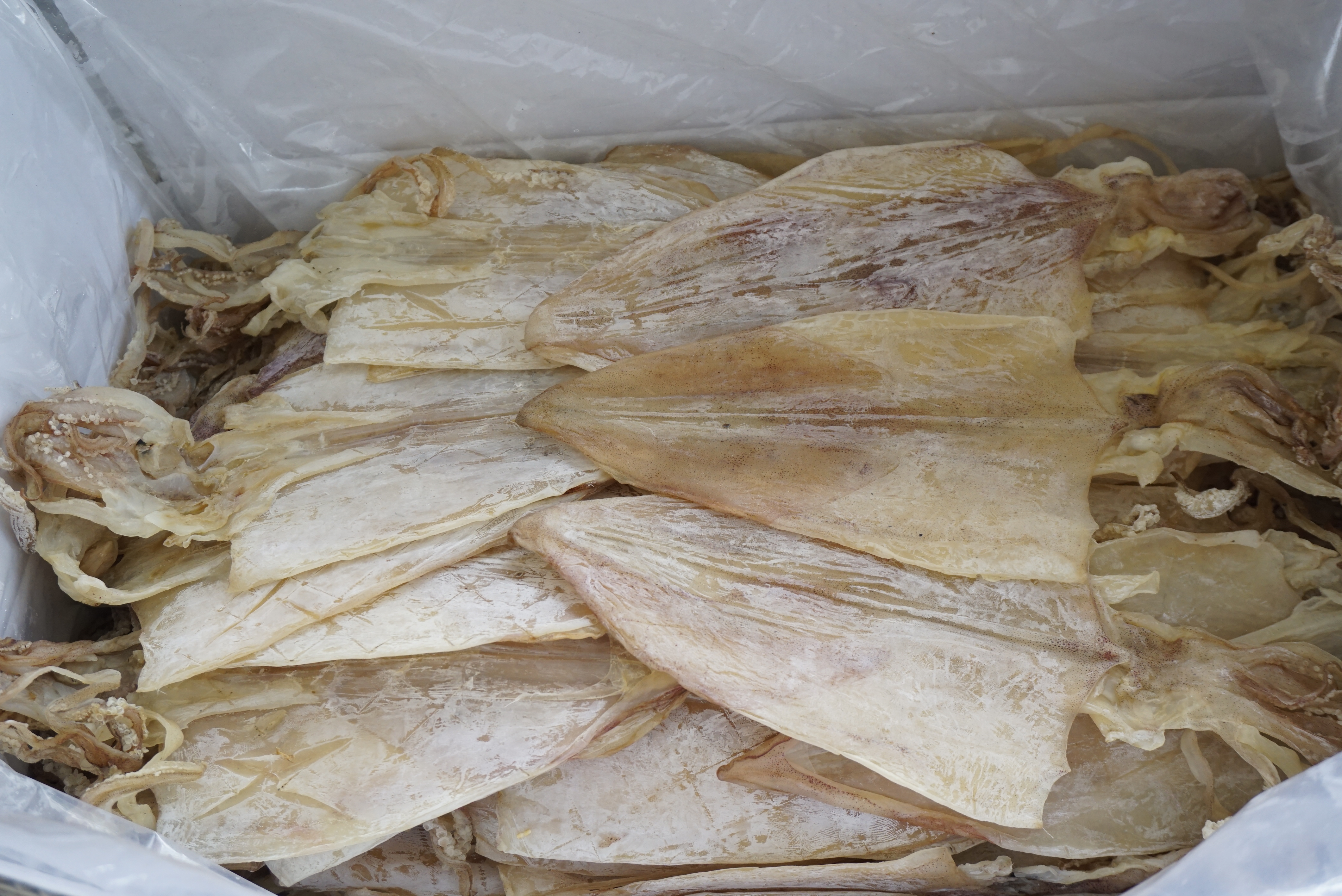 Đặc Sản Nha Trang - Mực Khô Câu Size 16 Con/Kg Seavy Gói 500G