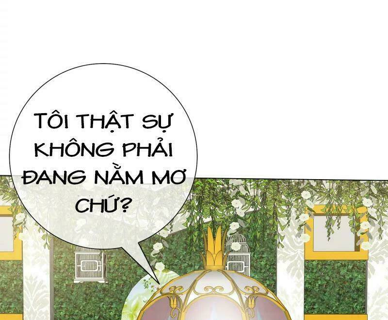 ái người tình xuất vu lam chapter 107 5