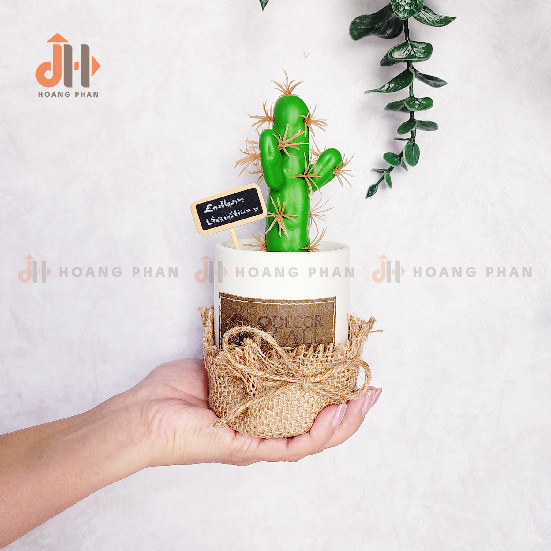 Trụ xương rồng ống vĩnh cửu trang trí