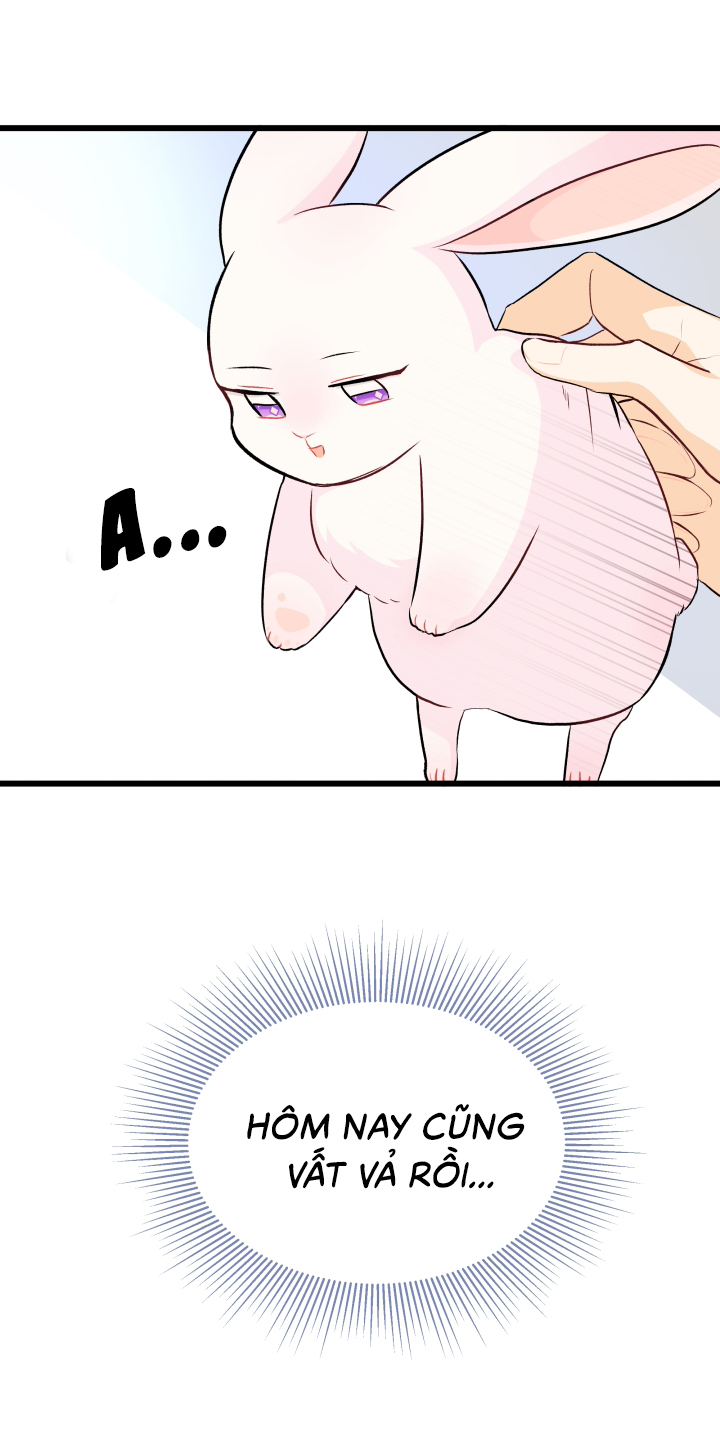 mối liên kết giữa báo đen và bé thỏ chapter 7 56