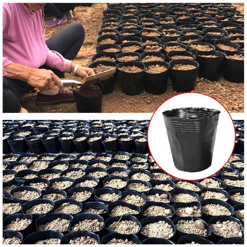 1KG Túi Bầu Ươm Cây, Trồng Cây KT 30x28 Túi Nhựa Dẻo Chống Nóng Tốt và Chống UV