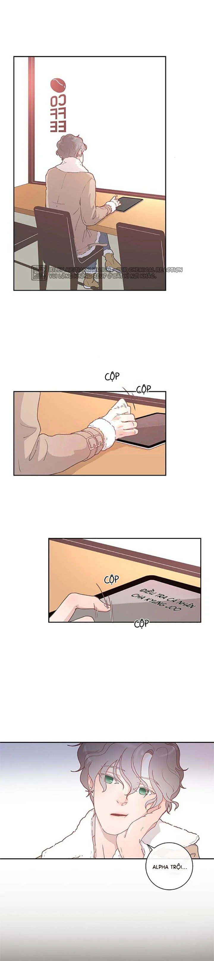 làm cách nào để theo đuổi một alpha? chapter 5 1