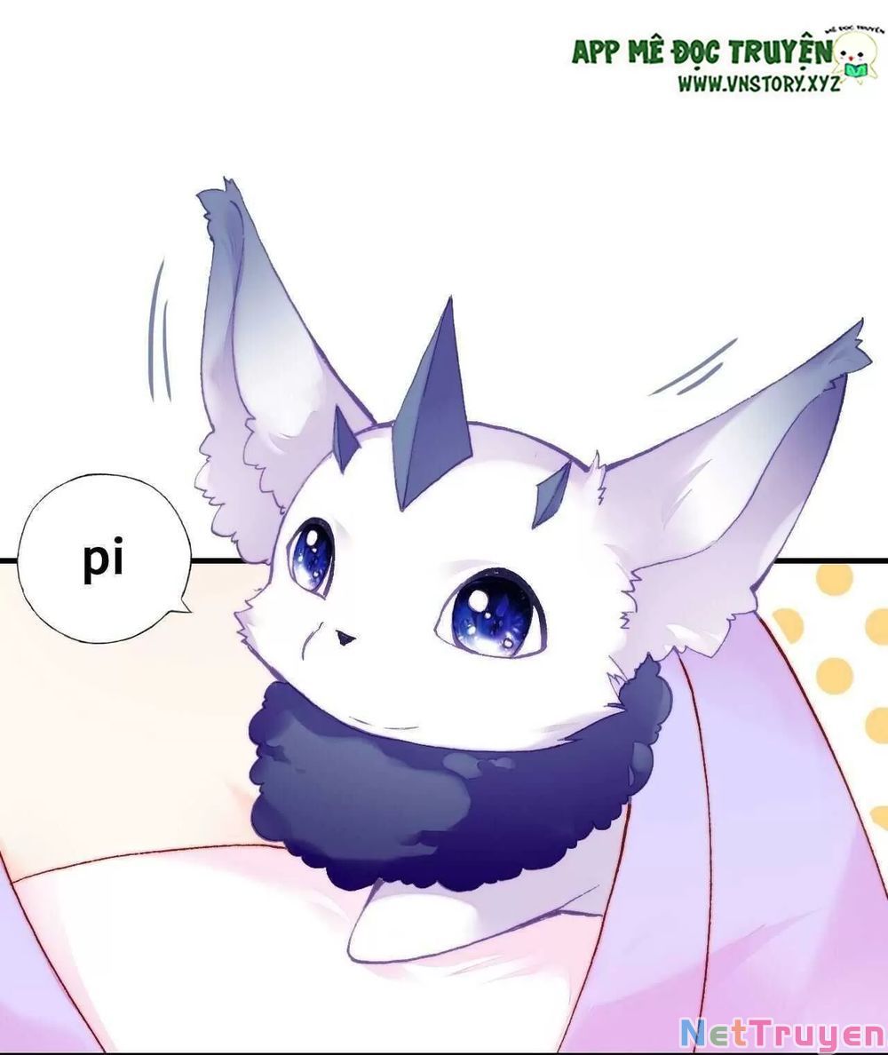 lại bị bệnh chiều chuộng quấn lấy chapter 46 30