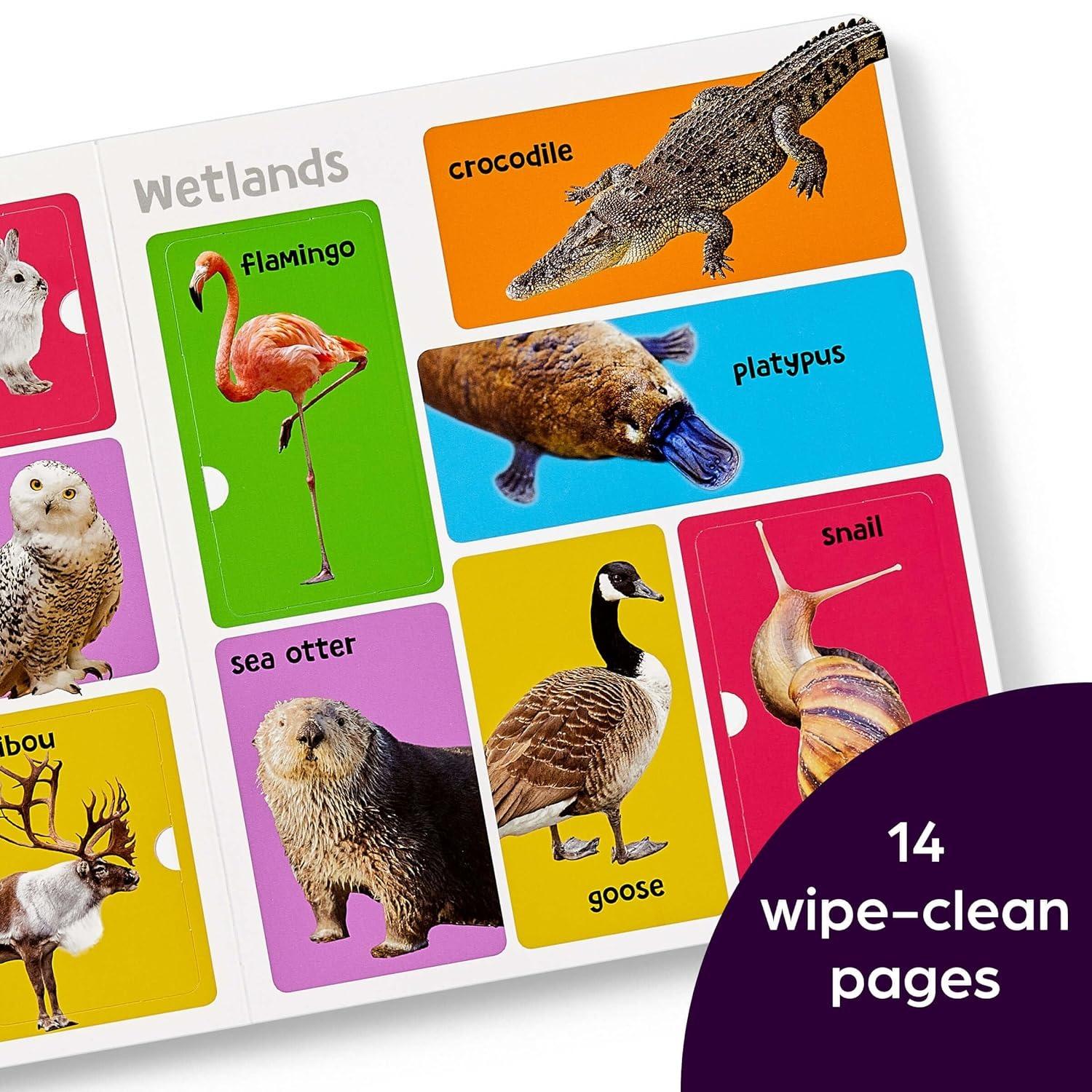 Sách ngoại văn: First 101 Animal Words