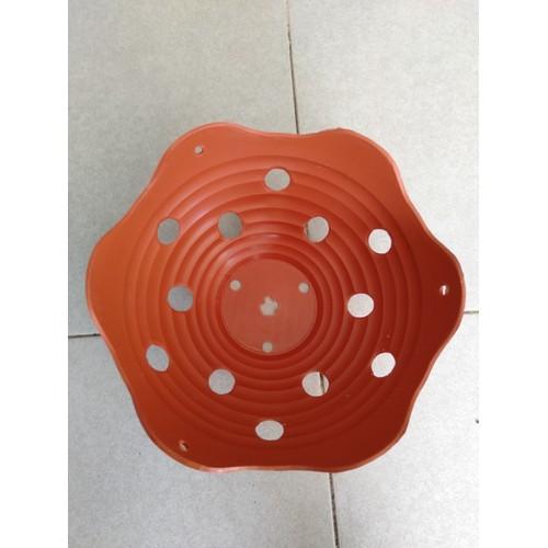 Combo 10 chậu nhựa trồng lan miệng lượn sóng phi 20 cm