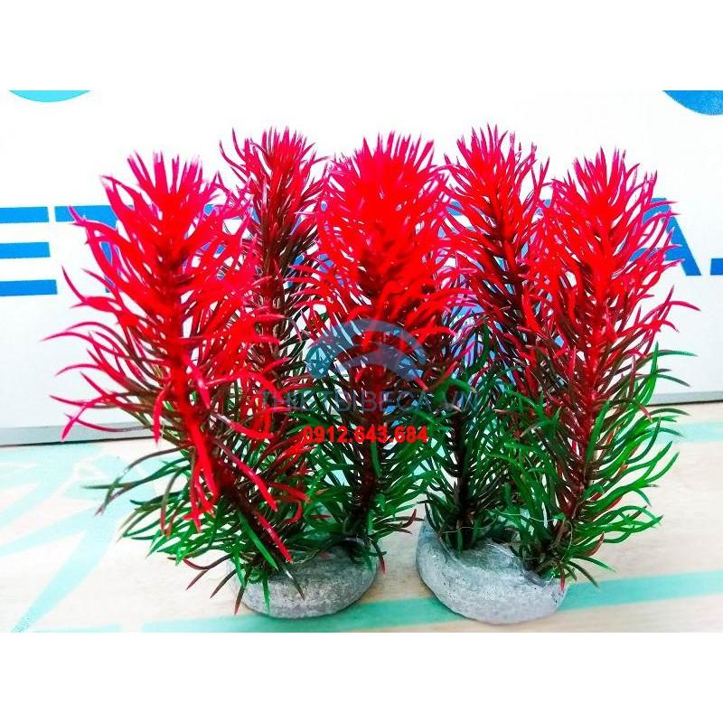 Combo 5 cây nhựa thấp ̣