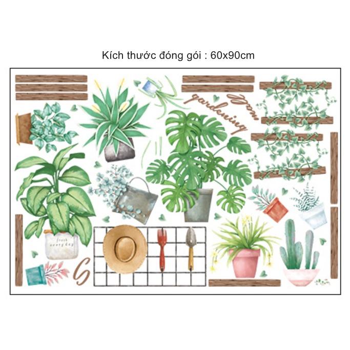 Decal trang trí tường - Kệ gỗ cùng những chậu cây xinh