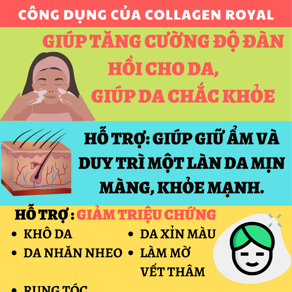 Collagen Royal Jelly - Ngăn ngừa quá trình lão hóa, Tăng cường độ đàn hồi cho da, Bảo vệ tế bào da, giúp da chắc khỏe, mịn màng