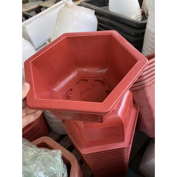Chậu nhựa lục giác đỏ khắc chữ dày đẹp
