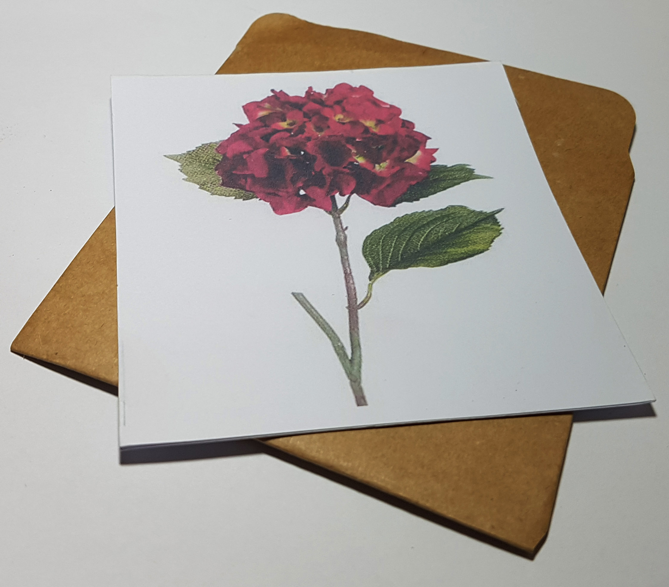 Thiệp phong cách Vintage card quà cám ơn ,chúc mừng sinh nhật và giử tặng người thân yêu.