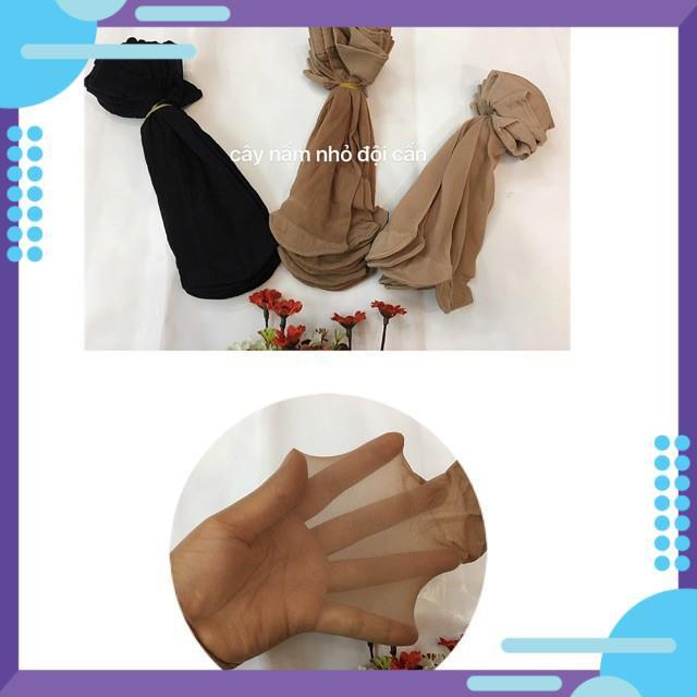 Combo 5 đôi tất da chân mỏng-Hàn Quốc