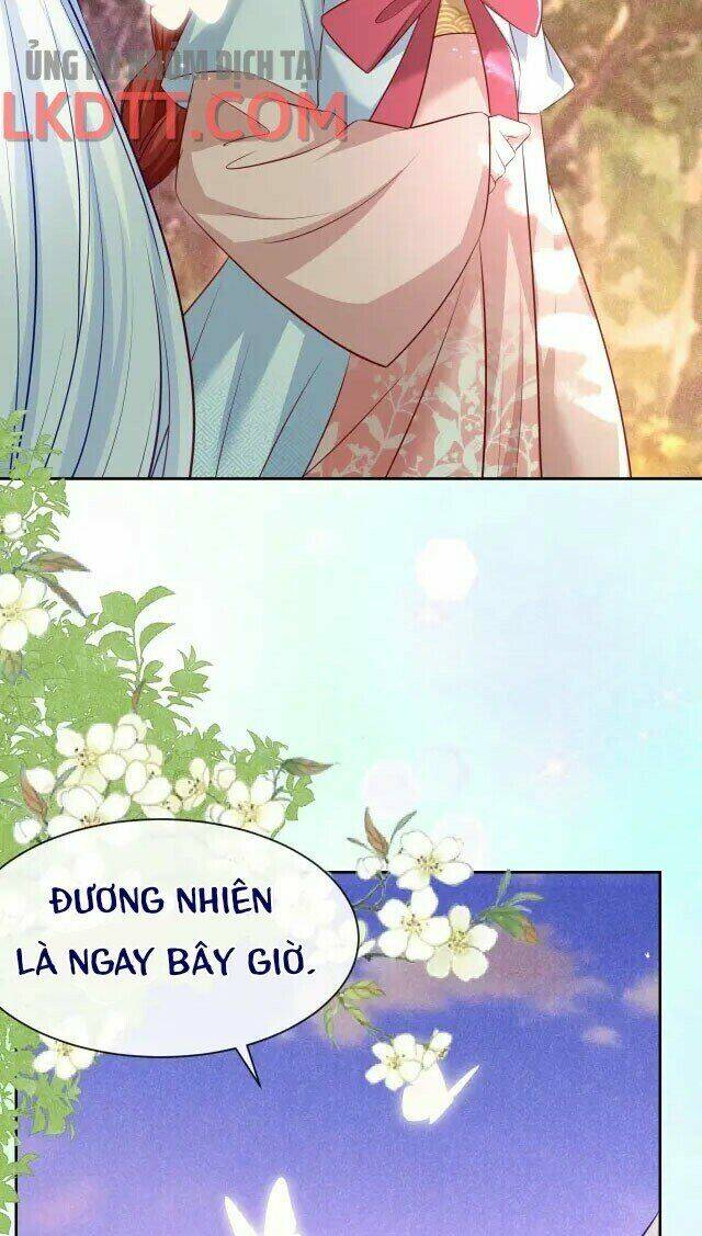 hắc hóa nam chính trực tuyến nuôi thỏ chapter 25 31